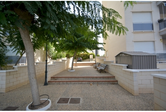 Herverkoop - Appartement / flat - Guardamar del Segura - Costa Blanca