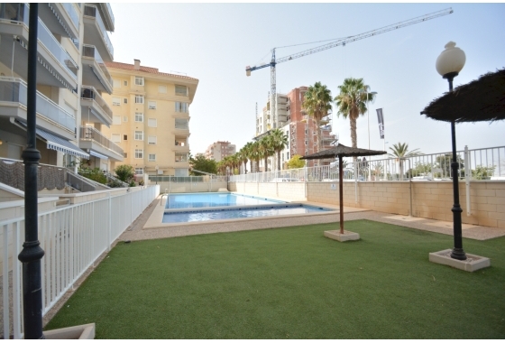 Herverkoop - Appartement / flat - Guardamar del Segura - Costa Blanca