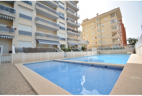 Herverkoop - Appartement / flat - Guardamar del Segura - Costa Blanca