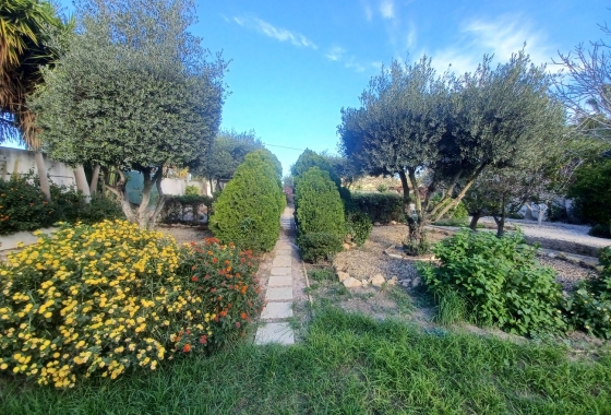 Herverkoop - Villa - Canadas De San Pedro - Inland