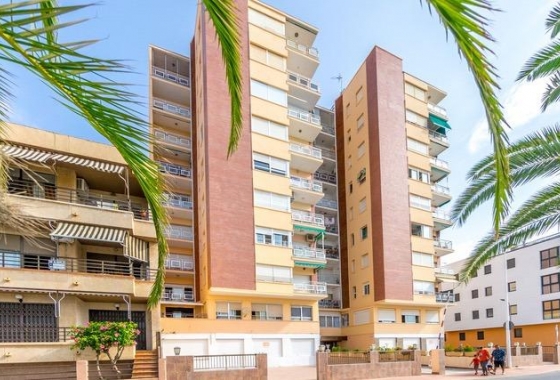 Wiederverkauf - Wohnung - Lo Pagan - Villananitos