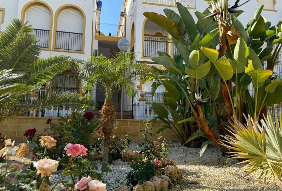 Herverkoop - Bungalow - Torrevieja - Cañada Del Molino