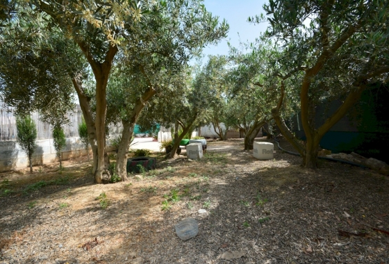 Wiederverkauf - Villa - Guardamar del Segura - Costa Blanca