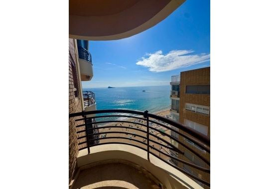 Herverkoop - Appartement / flat - Benidorm - Costa Blanca