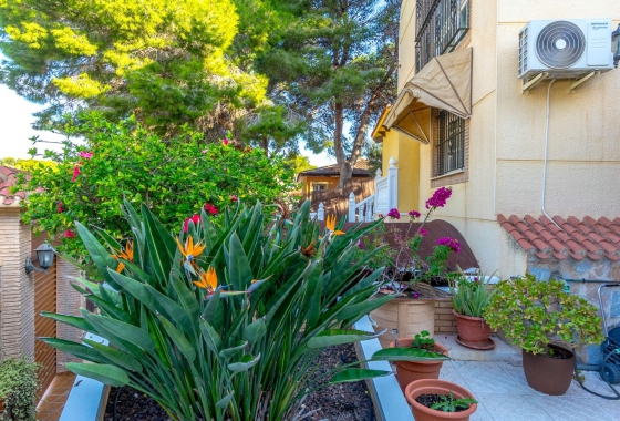 Wiederverkauf - Villa - Torrevieja - Los Balcones