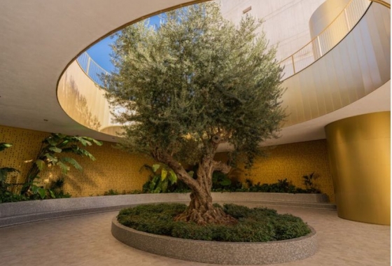 Wiederverkauf - Wohnung - Benidorm - Costa Blanca