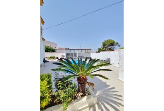 Herverkoop - Villa - San Miguel de Salinas - Inland