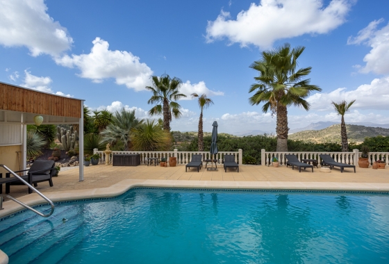 Resale - Villa - La Zarza