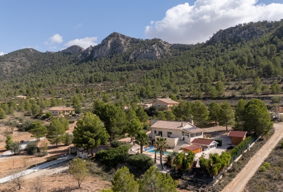 Resale - Villa - La Zarza