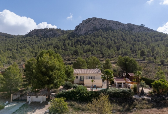 Resale - Villa - La Zarza