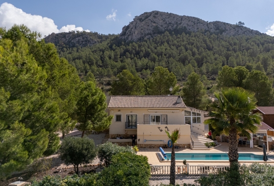 Resale - Villa - La Zarza