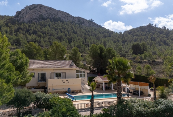 Resale - Villa - La Zarza