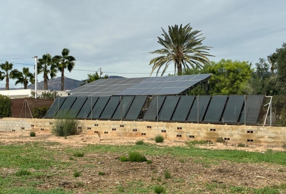 Wiederverkauf - Villa - Crevillente - Costa Blanca