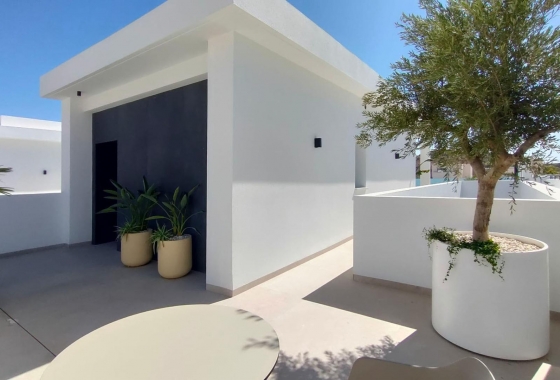 Nieuwbouw Woningen - Villa - Rojales - Ciudad Quesada