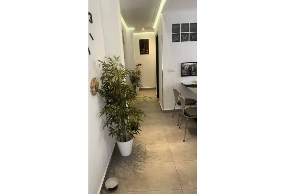 Wiederverkauf - Penthouse - Torrevieja - Centro