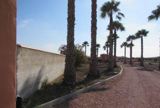 Herverkoop - Finca - Dolores - Comunidad Valenciana