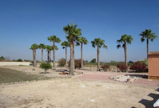 Herverkoop - Finca - Dolores - Comunidad Valenciana