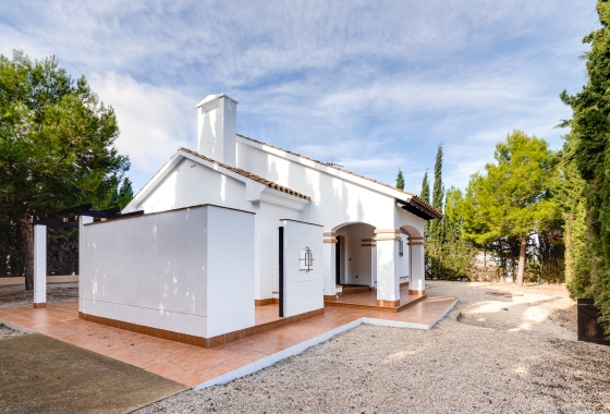 New Build - Chalet - Fuente Álamo - Fuente Alamo