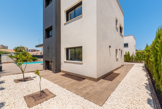 Nieuwbouw Woningen - detached - Playa Paraiso