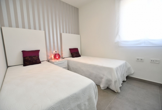 Neue Gebäude - high-bungalow - San Miguel de Salinas