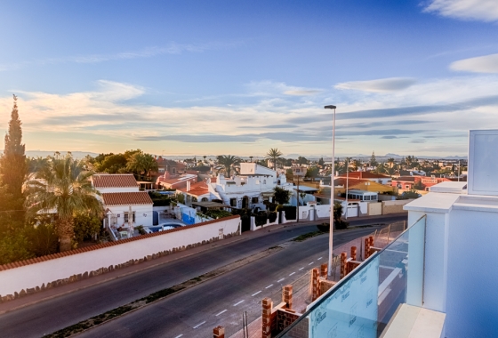 Obra nueva - Chalet - Pilar de la Horadada