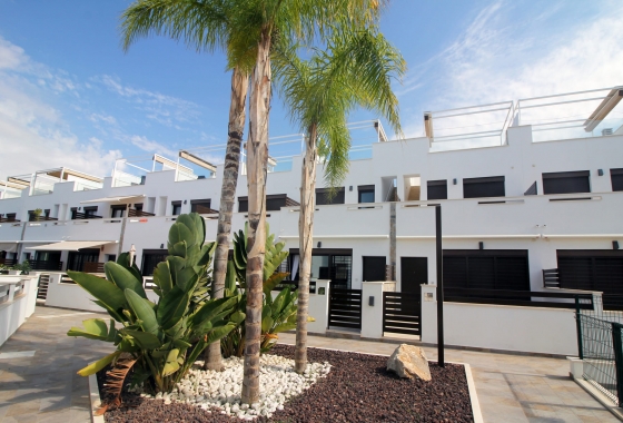 Obra nueva - Chalet - Pilar de la Horadada