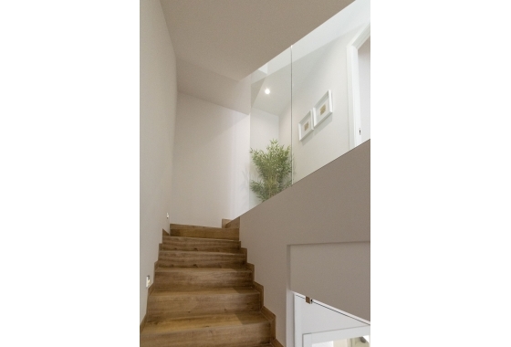 Nouvelle construction - detached - Pilar de la Horadada