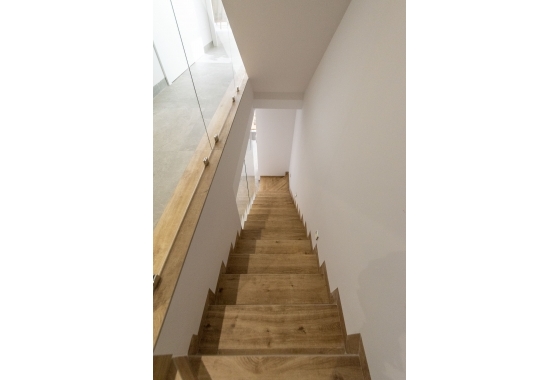 Nouvelle construction - detached - Pilar de la Horadada