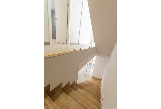 Nouvelle construction - detached - Pilar de la Horadada