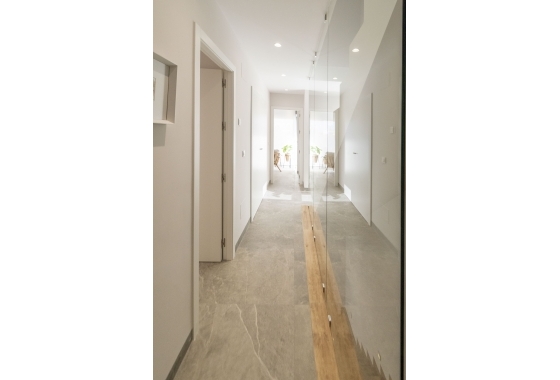 Nouvelle construction - detached - Pilar de la Horadada