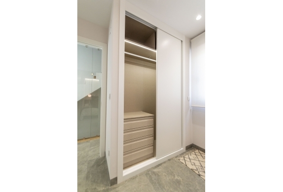 Nouvelle construction - detached - Pilar de la Horadada