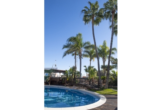 Obra nueva - Villa - San Pedro del Pinatar - San Pedro Del Pinatar