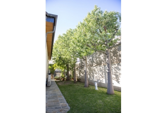 Obra nueva - Villa - San Pedro del Pinatar - San Pedro Del Pinatar