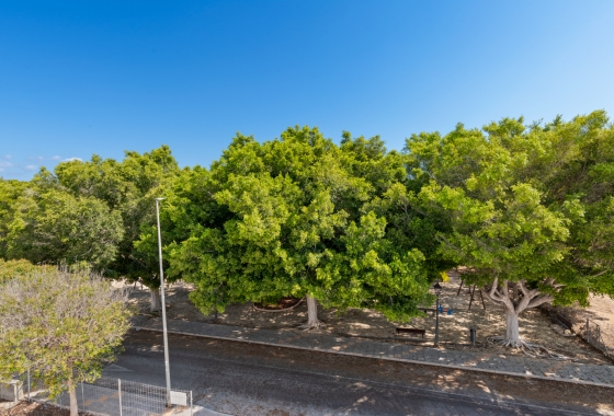 New Build - Chalet - Pilar de la Horadada