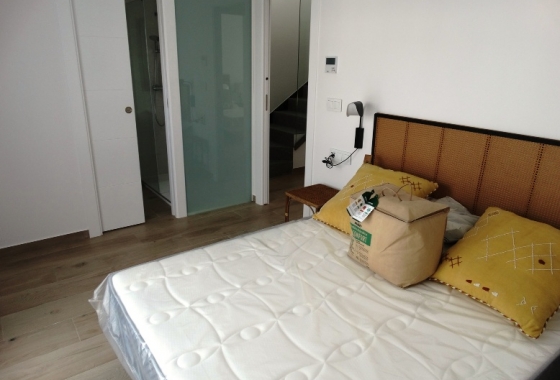 Neue Gebäude - Chalet - Pilar de la Horadada