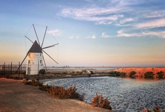 Nieuwbouw Woningen - detached - San Pedro del Pinatar - San Pedro Del Pinatar