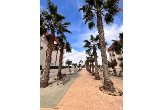 Obra nueva - Bungalow - Orihuela Costa