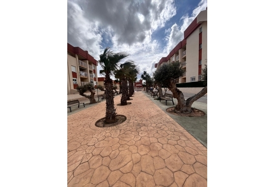 Nouvelle construction - Appartement - Orihuela