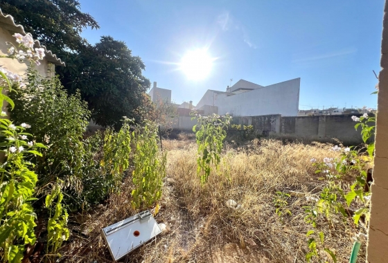 Resale - Townhouse - Pinoso - Inland