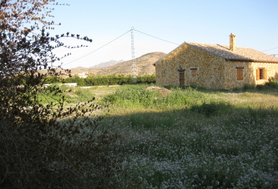 Herverkoop - Finca - Benferri - Inland