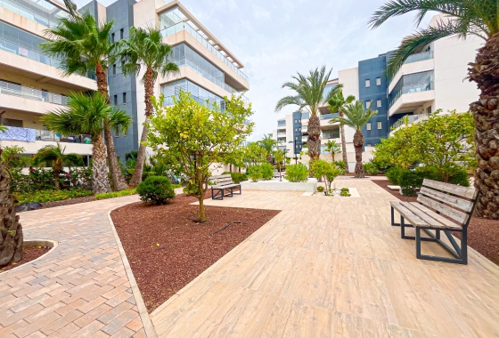 Herverkoop - Appartement / flat - Orihuela Costa - Costa Blanca