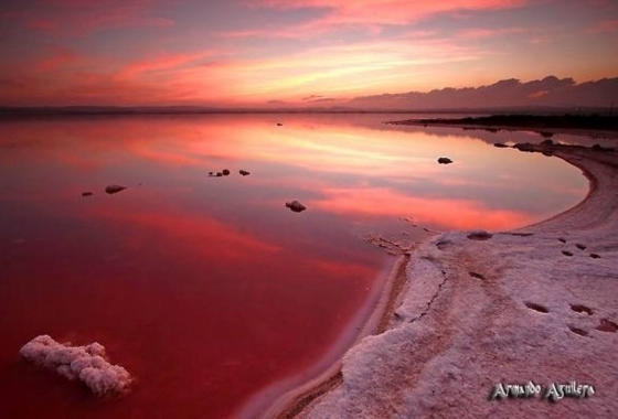 Wiederverkauf - Stadthaus - Torrevieja - La Siesta