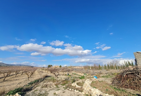 Wiederverkauf - Finca - Pinoso - Inland