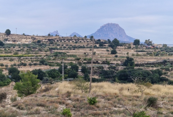 Herverkoop - Finca - Relleu - Inland