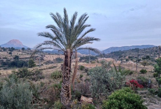 Herverkoop - Finca - Relleu - Inland