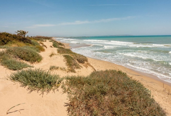 Neue Gebäude - Wohnung - Guardamar del Segura