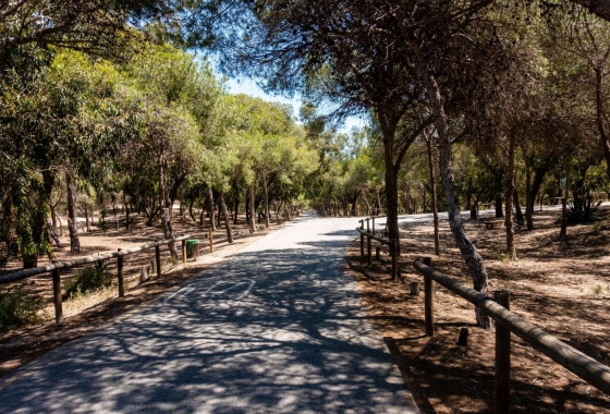 Новостройка - Квартира - Guardamar del Segura