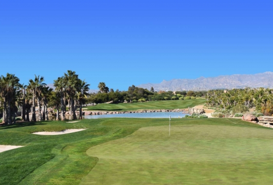 Neue Gebäude - Villa - Cuevas Del Almanzora - Villaricos