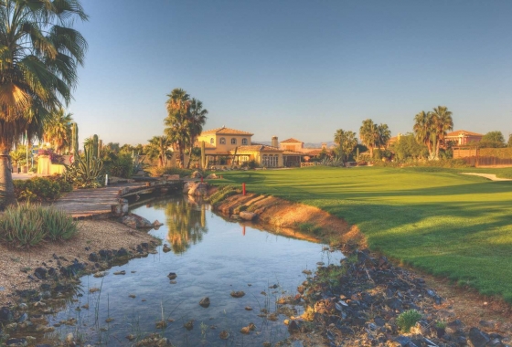 Neue Gebäude - Villa - Cuevas Del Almanzora - Villaricos