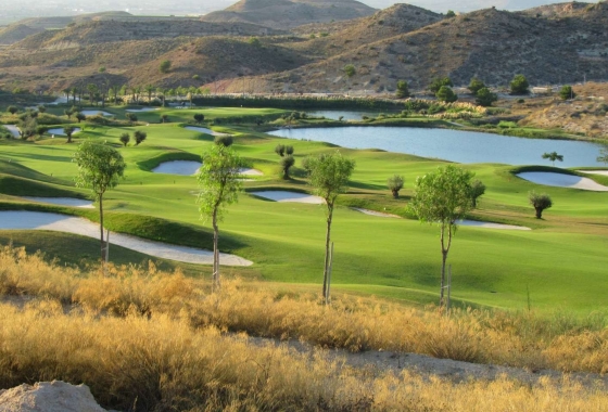 Nieuwbouw Woningen - Herenhuis - Monforte del Cid - Font del Llop